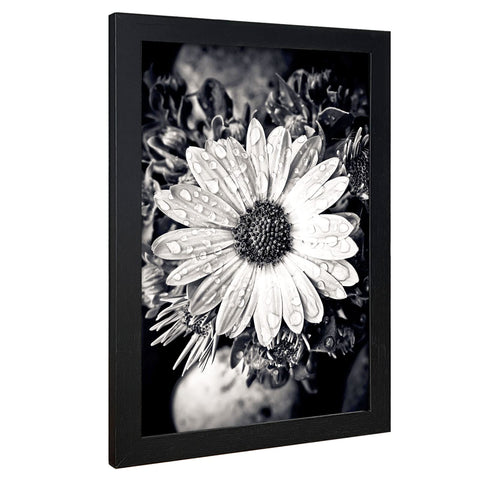 VCK anti-glare plexiglass front protects colors in bright rooms