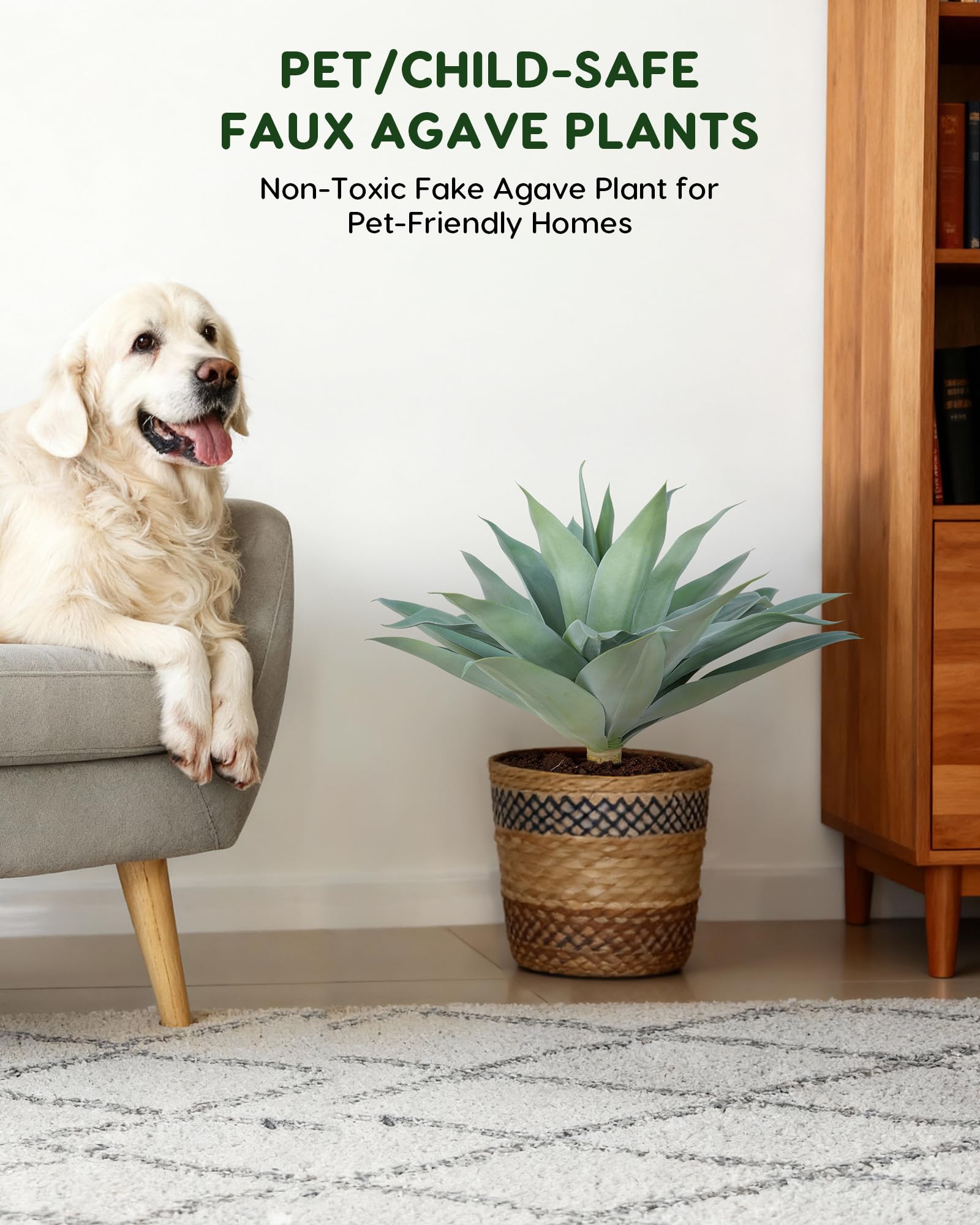 Velener UV-protected agave offers color longevity with annual spray.