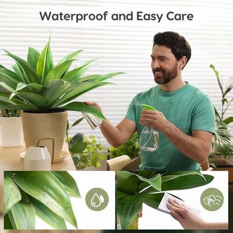 Velener indoor-outdoor agave decor enhances various living spaces.