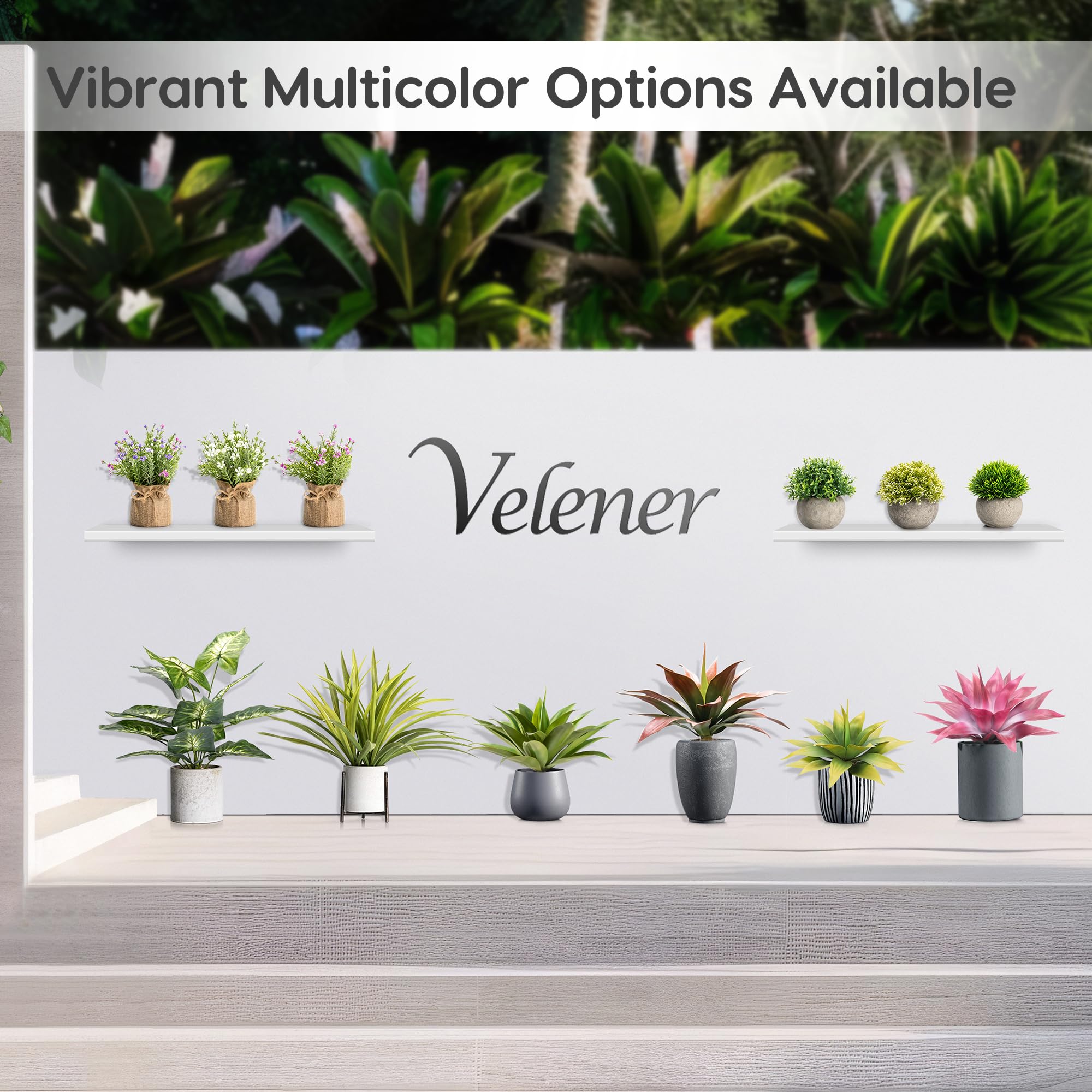 Velener agave care tip: UV protection spray extends vibrancy in daily use.