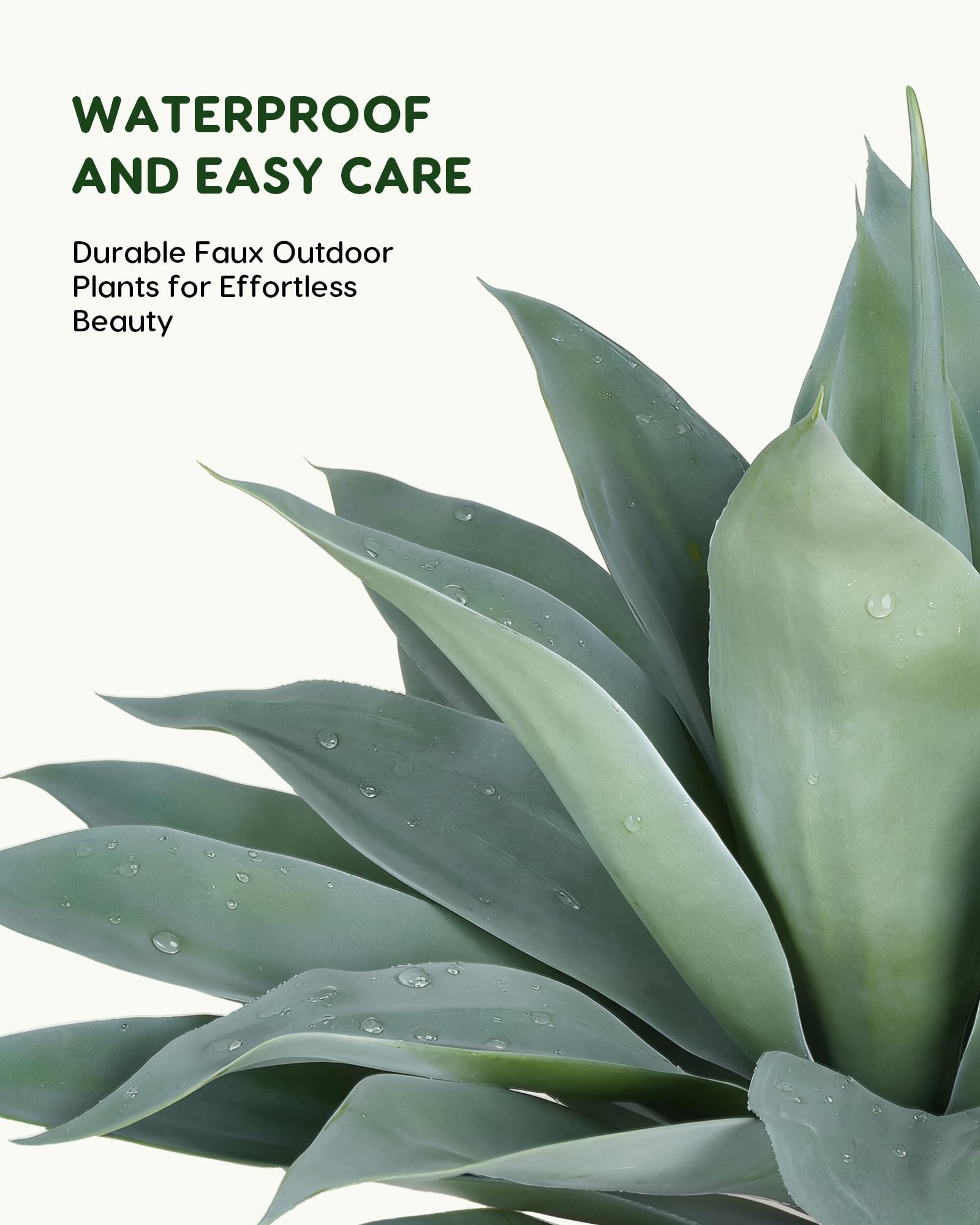 Velener outdoor indoor-friendly blue agave for porches patios or offices.