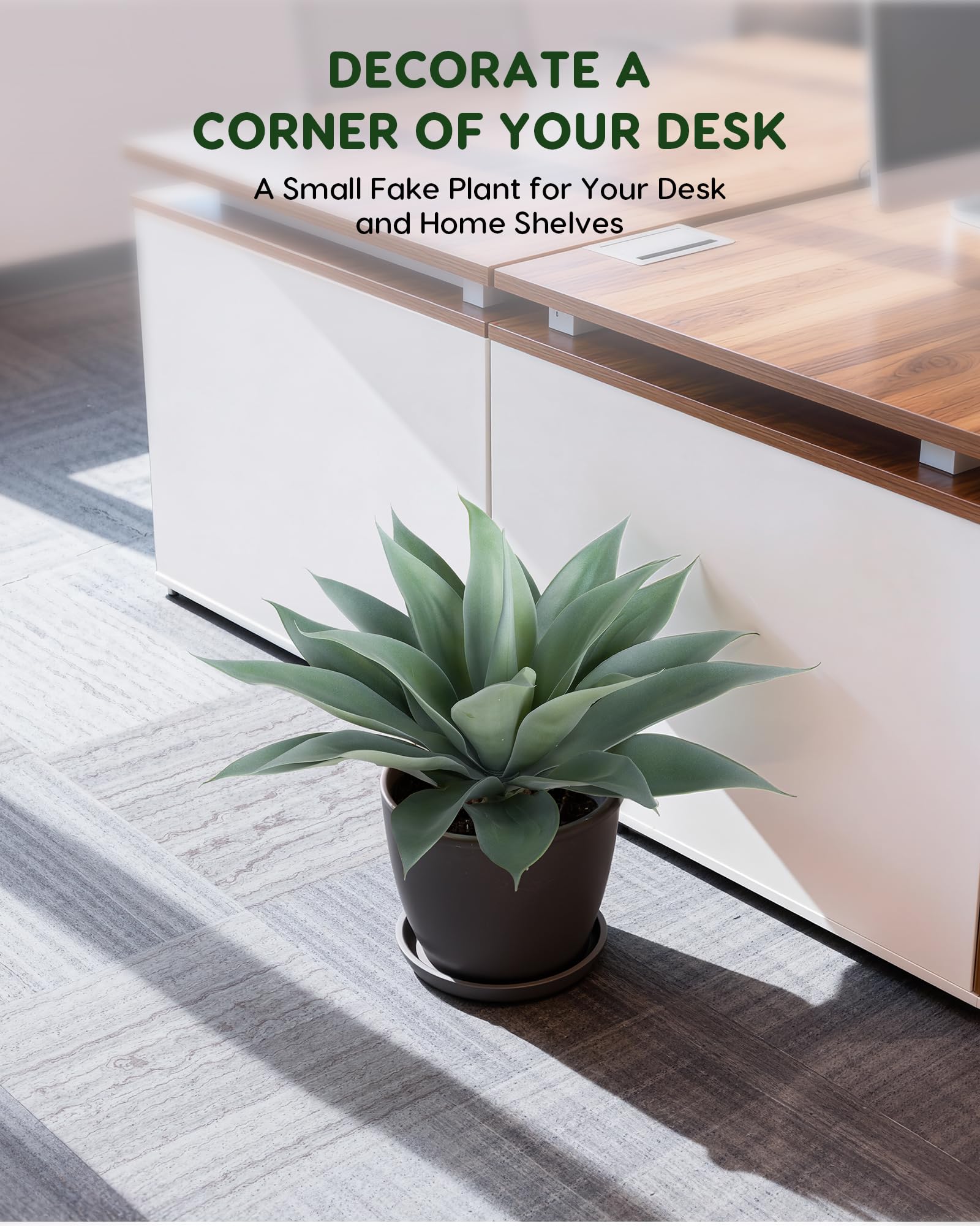 Velener agave features 29 emerald leaves for lush greenery.