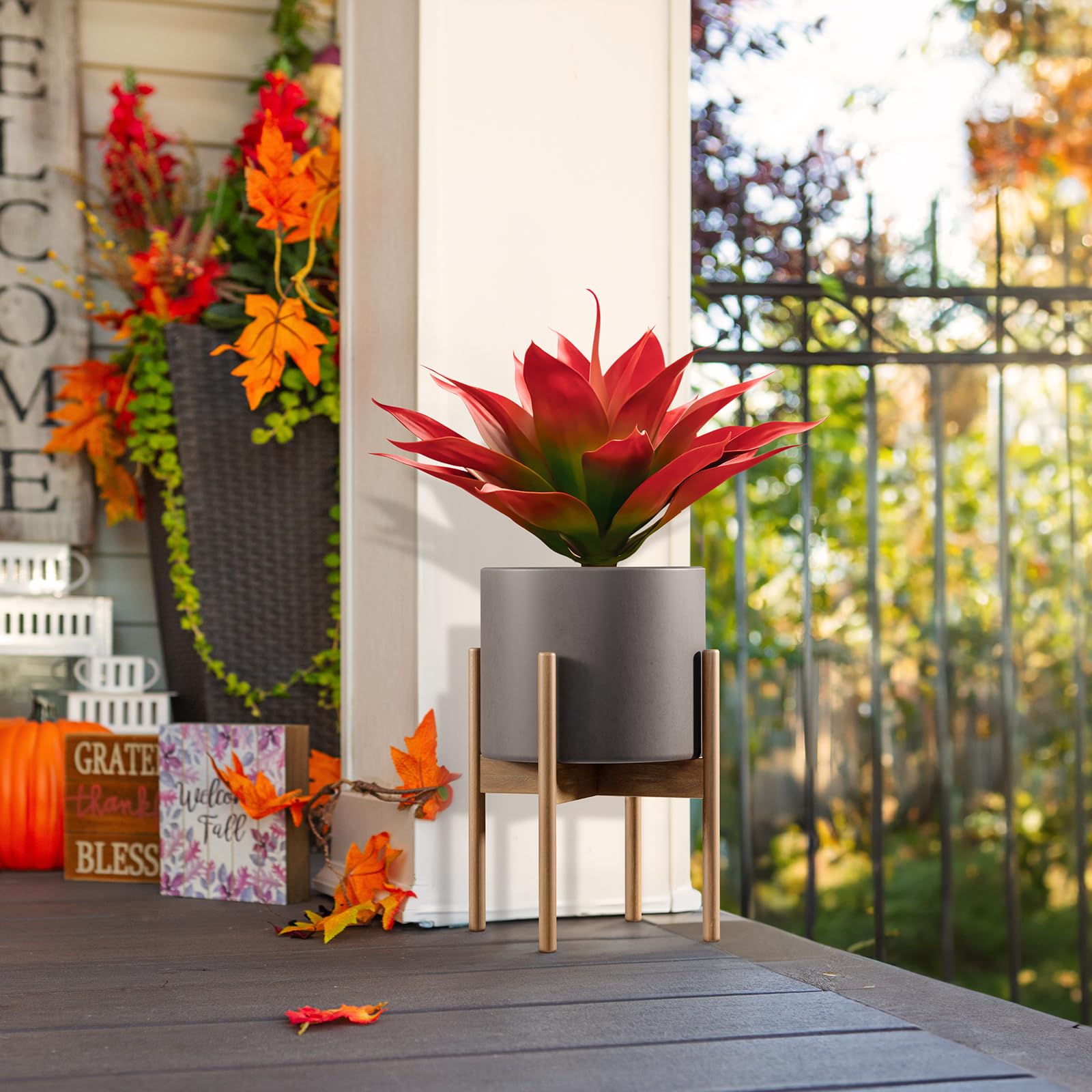 Velener red agave UV resistant plant ideal for porch use.