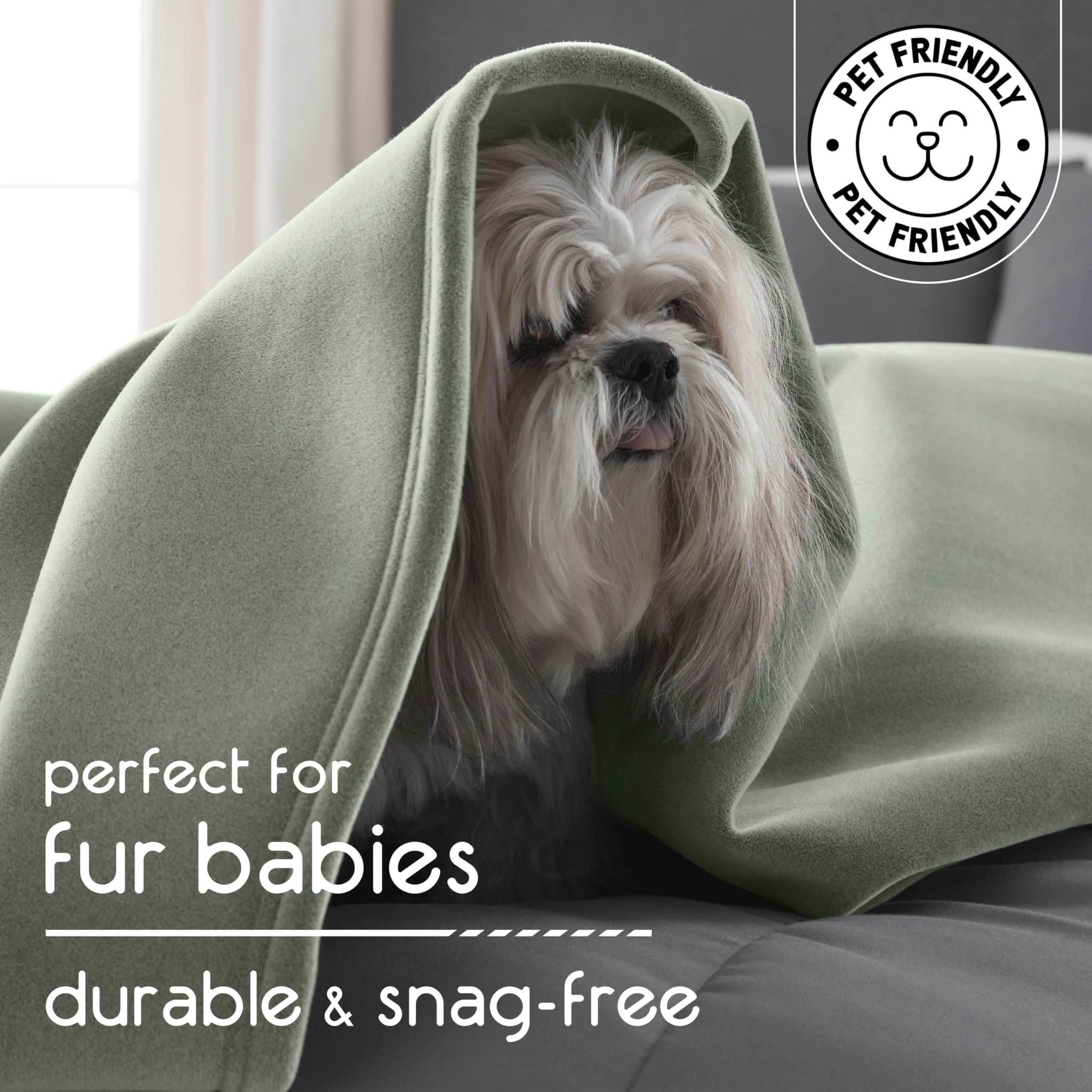 Vellux Original Queen Blanket used on pet bed for comfy moments.
