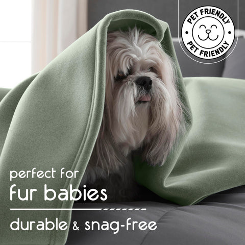 Vellux Original Queen Blanket used on pet bed for comfy moments.