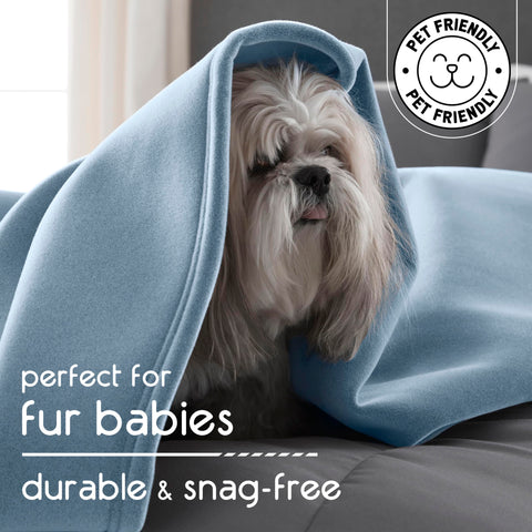 Pet-friendly blanket used with a dog nearby