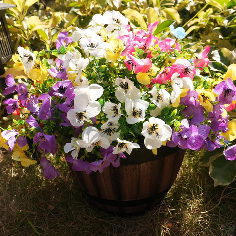 Packaging note for Vemander pansies: reshape after transit with a hair dryer.