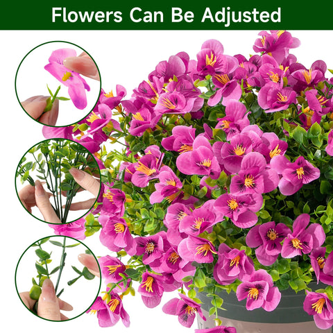 Vemander UV-resistant pansies designed for sunny outdoor spaces.