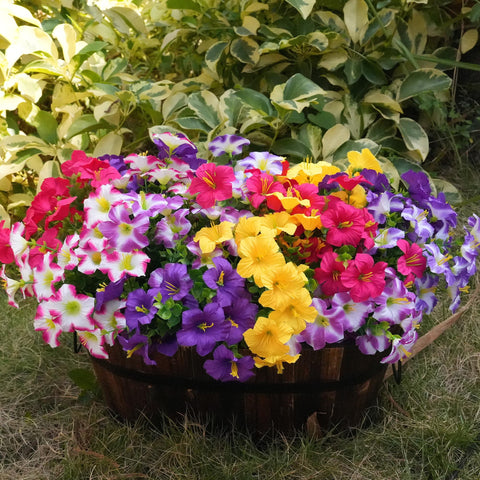 Vemander balcony-garden decor shows UV-friendly blooms for year-round appeal.