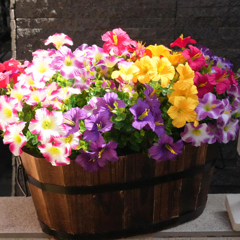 Vemander color-mix six-colors petunia enhances porch or window box.