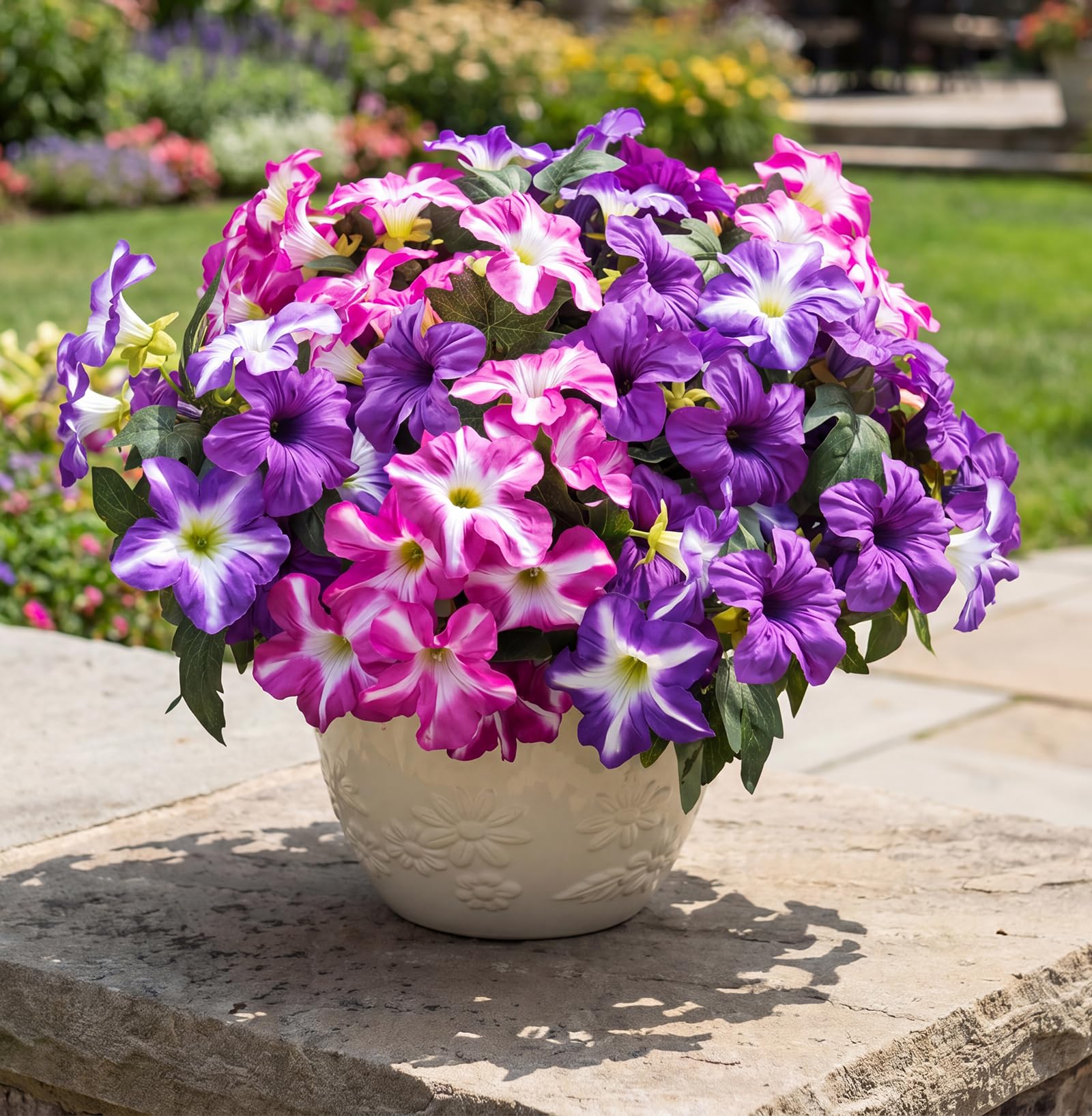 Vemander petunia maintenance-free blooms ideal for simple care