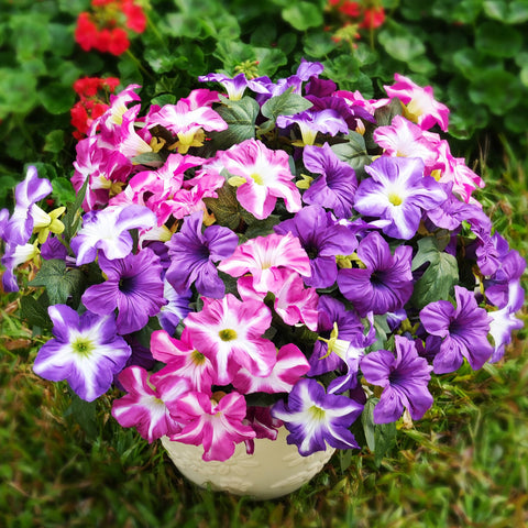 Vemander petunia outdoor decor resistant to fading in sun