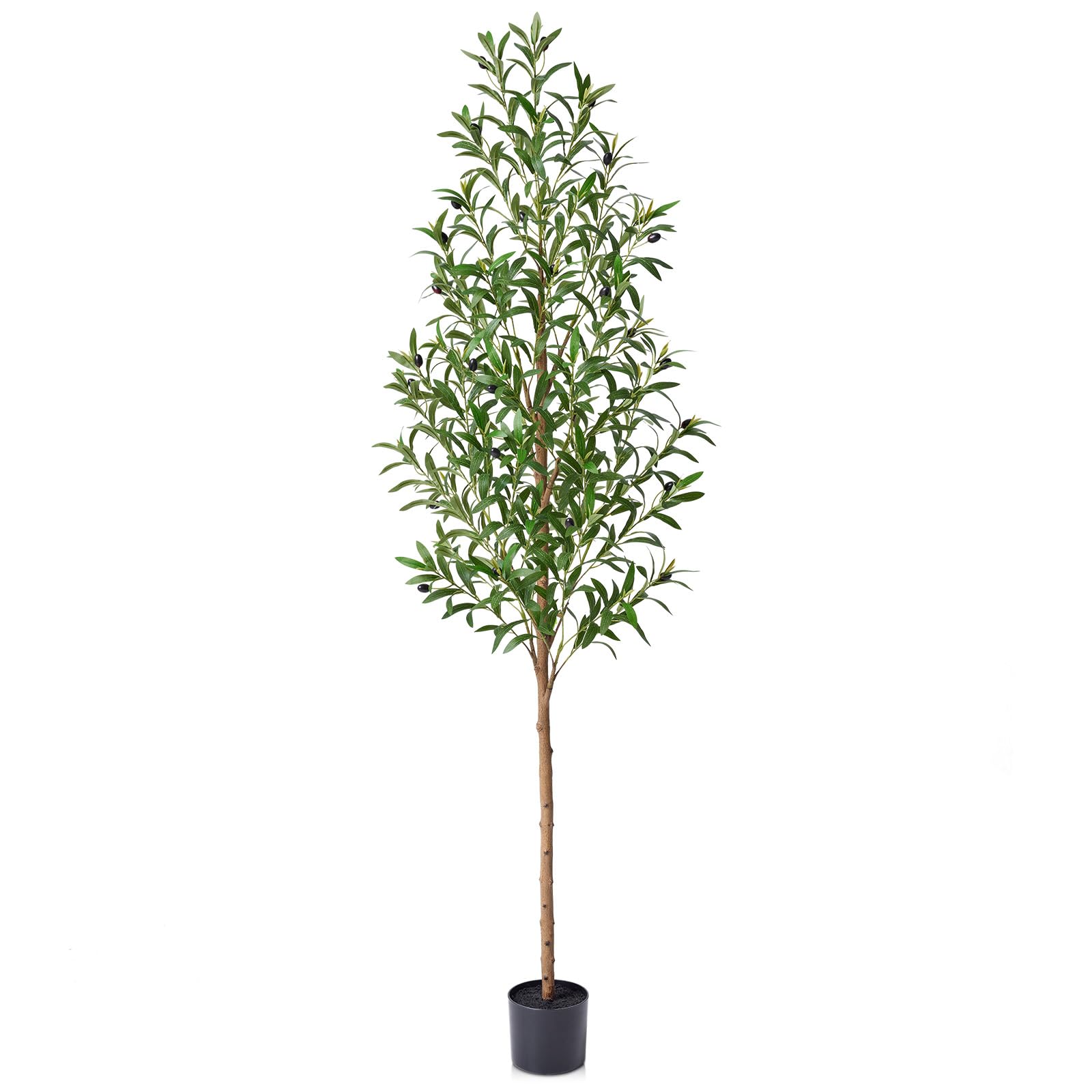 VeriNatural 6FT olive tree trunk detail for authentic Mediterranean decor