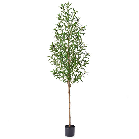 VeriNatural 6FT olive tree trunk detail for authentic Mediterranean decor