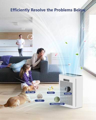 VEWIOR real time PM2.5 display on the air purifier