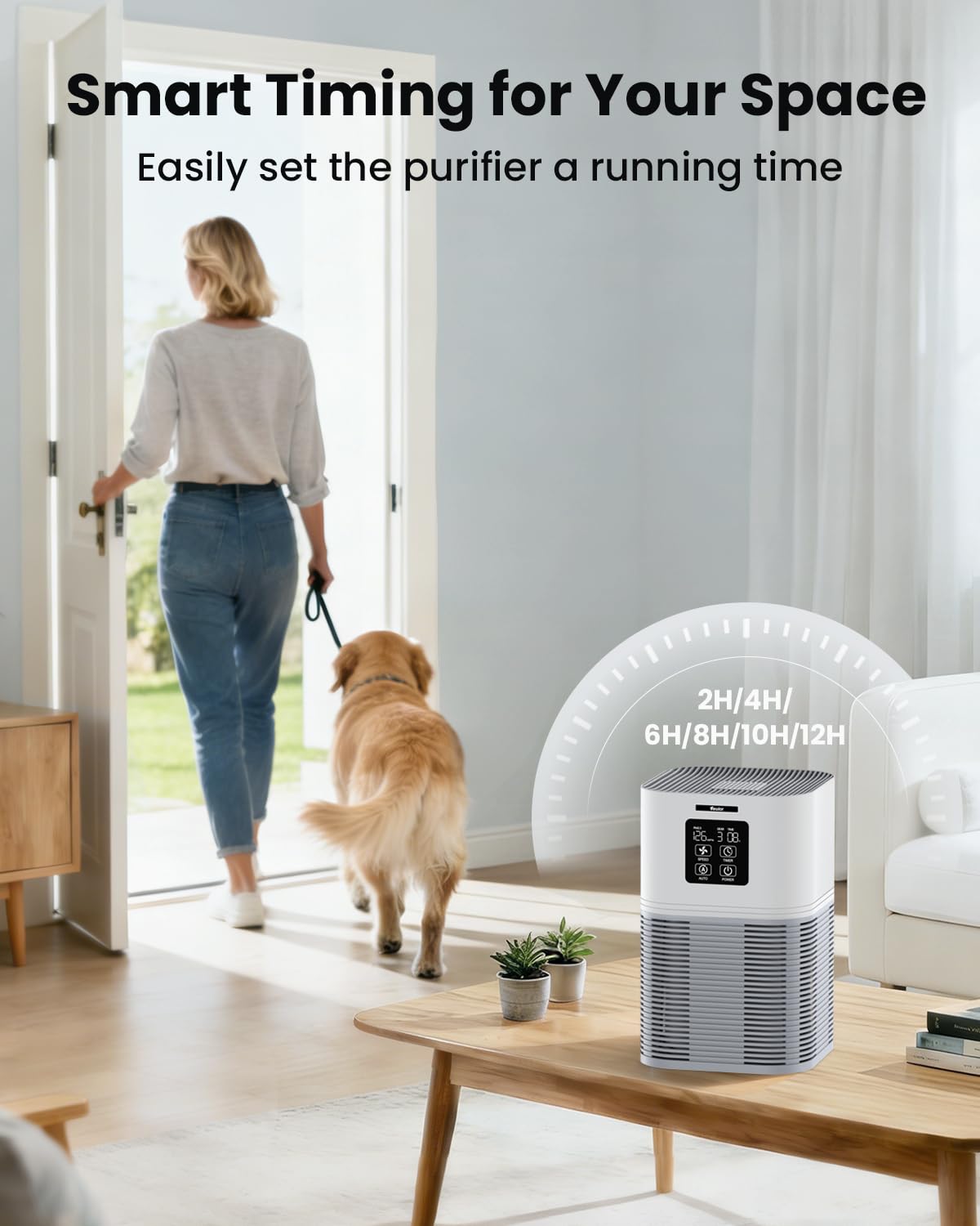 VEWIOR living room setup demonstrates wide coverage for pets and smoke