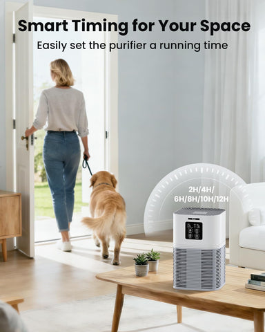 VEWIOR living room setup demonstrates wide coverage for pets and smoke