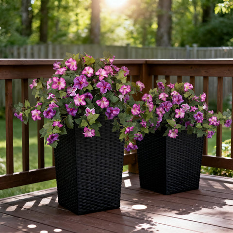 VGNQA outdoor petunia arrangement with vibrant gradient purple tones.