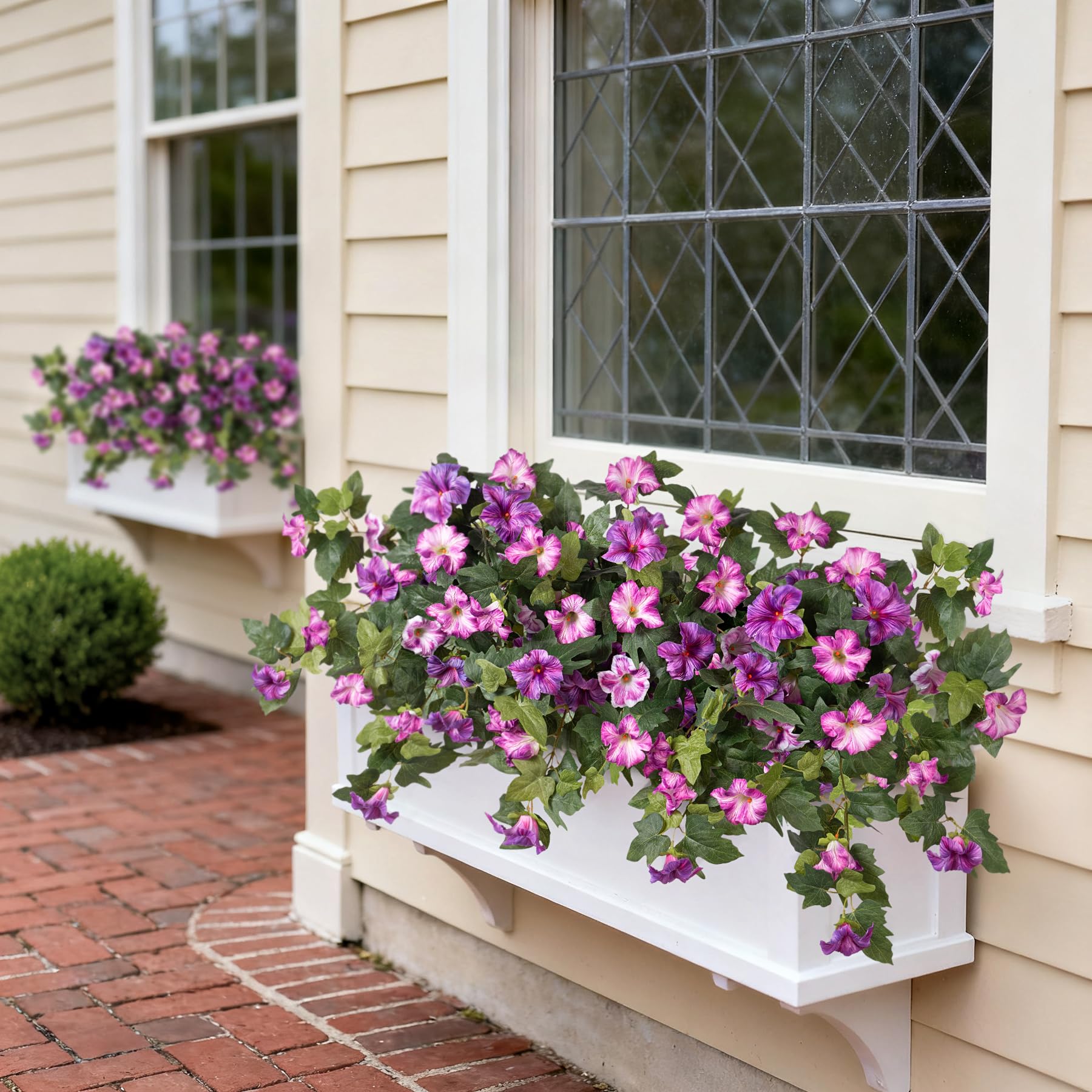 VGNQA petunia flowers close-up highlighting UV-resistant materials that resist fading.