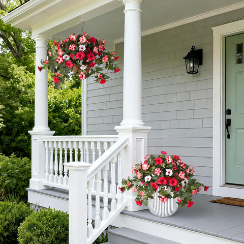 VGNQA decorative petunia bundles brighten patio spaces