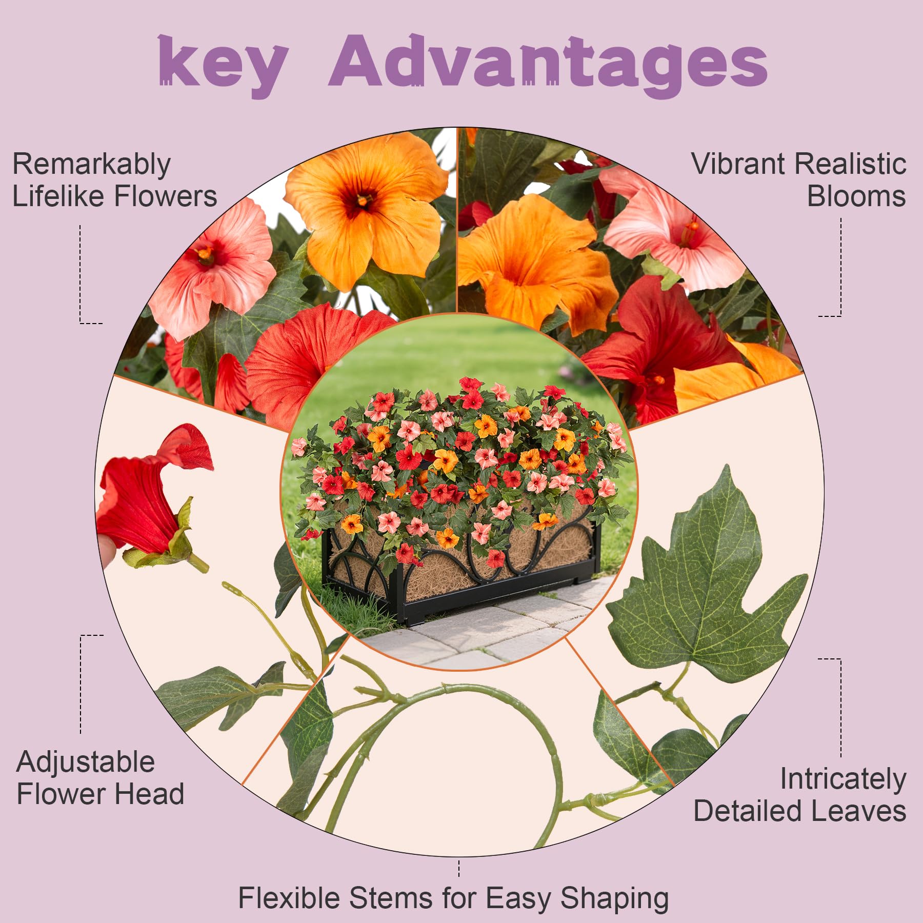 VGNQA indoor-outdoor flowers suit living rooms and window boxes.