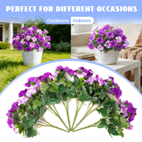 VGNQA outdoor petunias require no watering or pruning