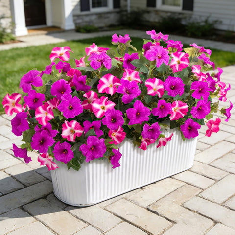 VGNQA petunia outdoor bundle with lifelike blooms for vibrant planters.