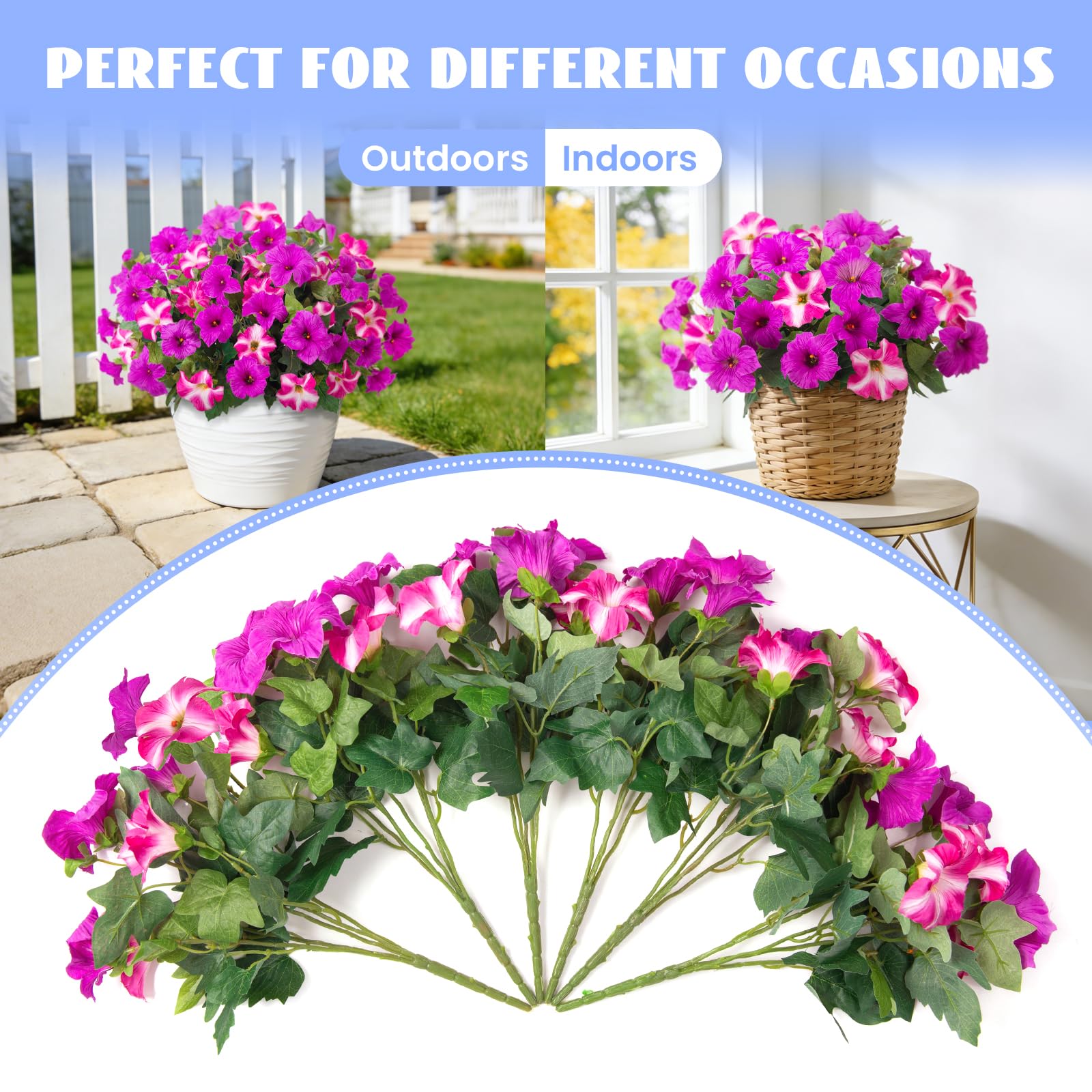 VGNQA petunia window box display adds year-round color.