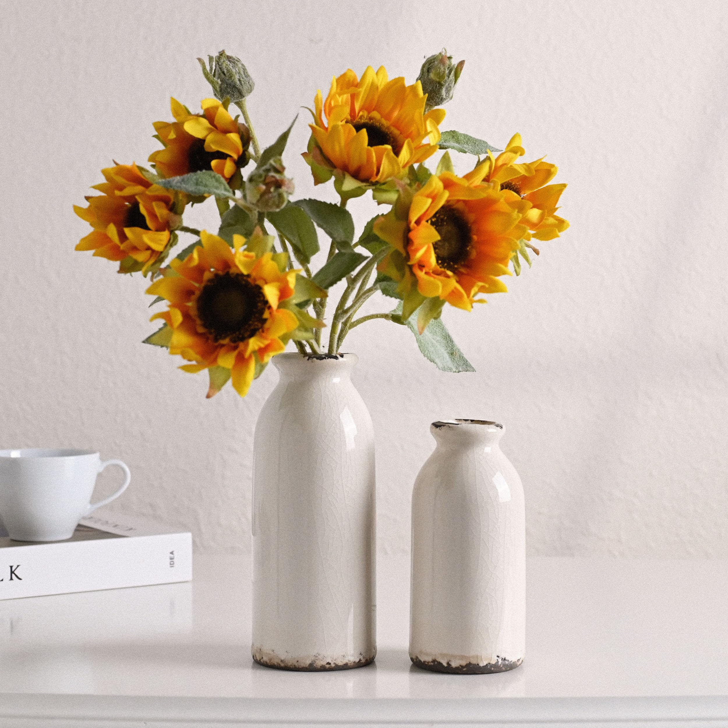 VICTOR & TERESA two vase set showcases rustic-modern display for shelves