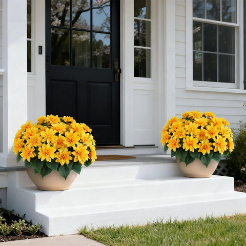 VIERENA dahlia topiary side view highlighting balanced shrub silhouette for porch styling