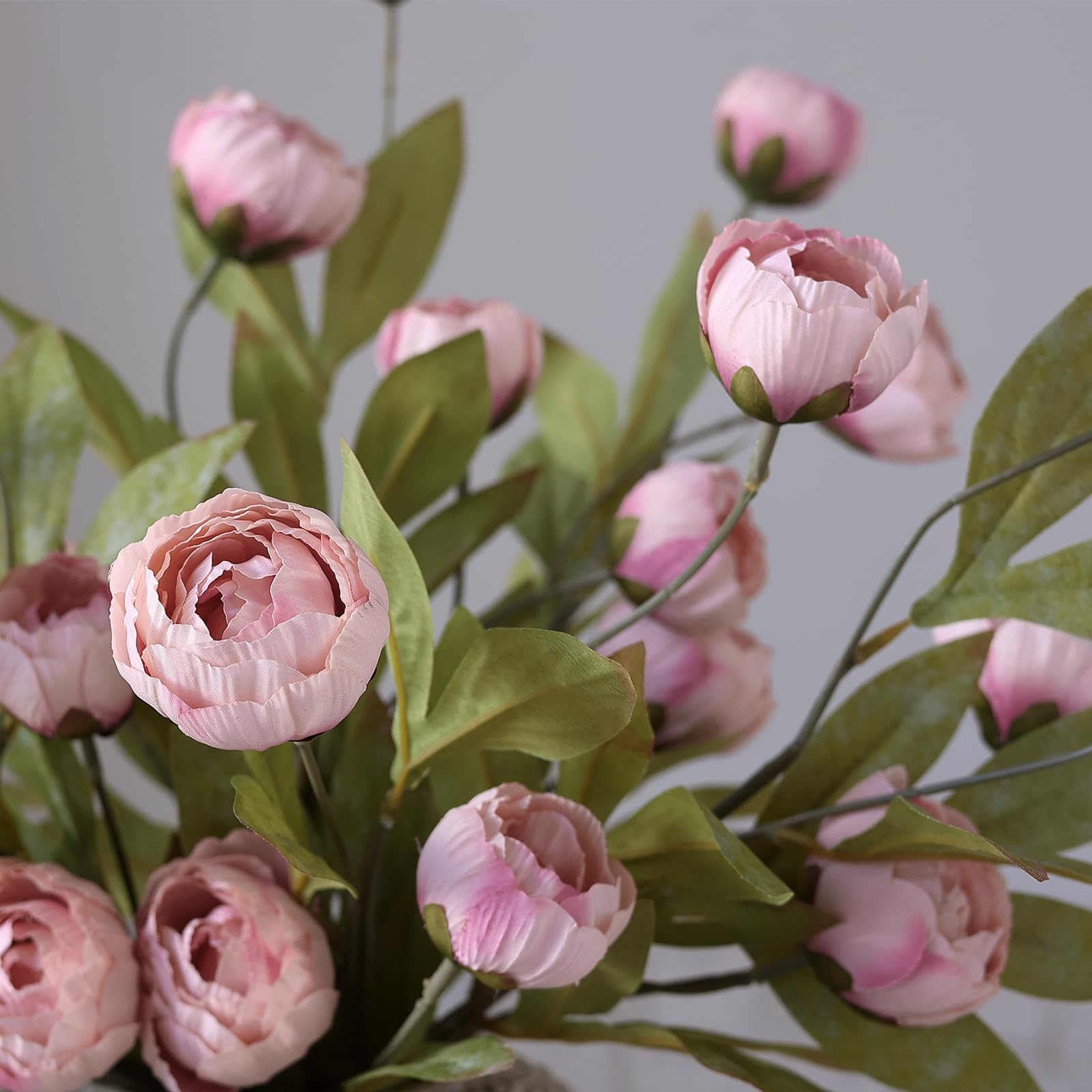 VIERENA long stems suit centerpieces, walls, or frames.