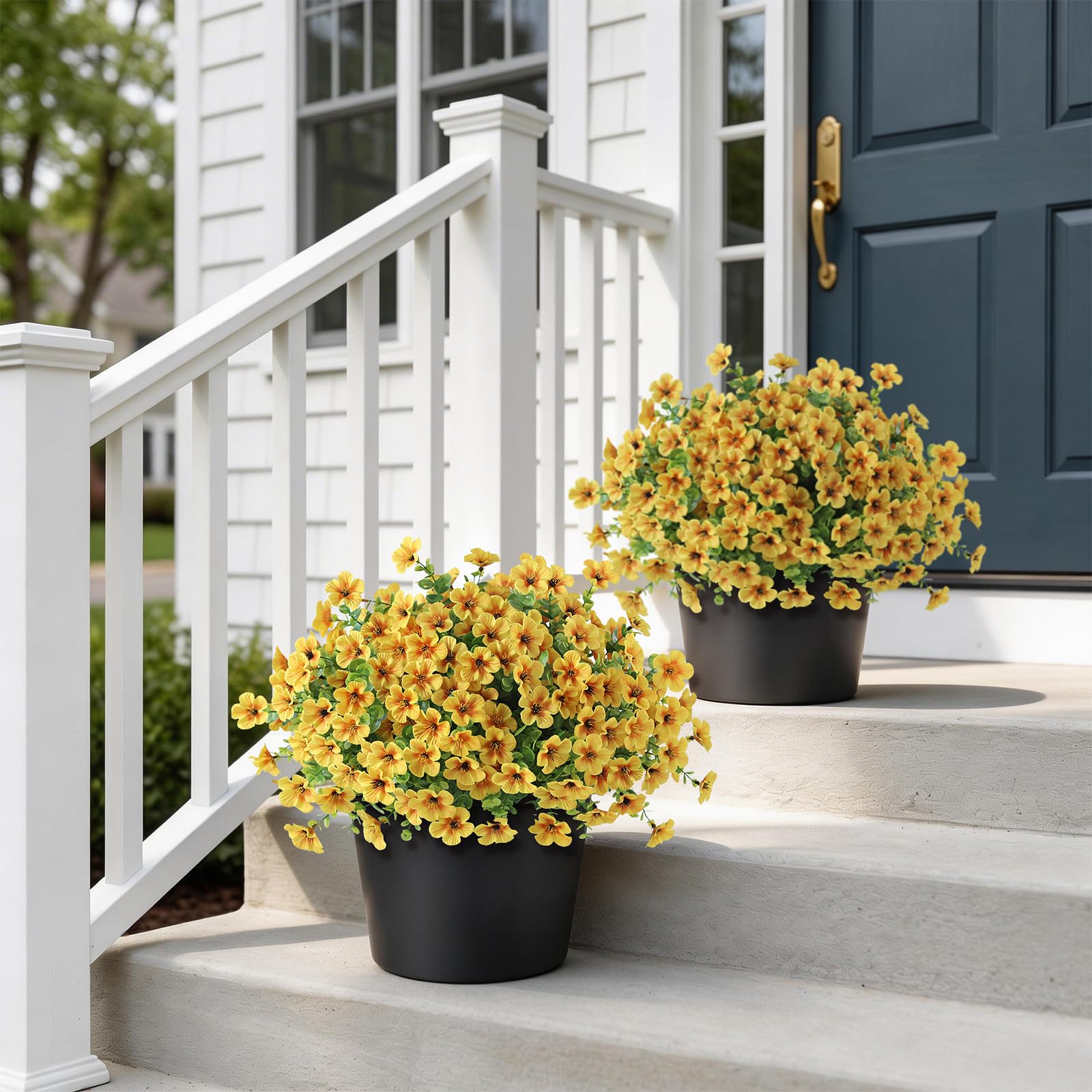 VIERENA two-pack morning glory topiary by the yard adding year-round color.