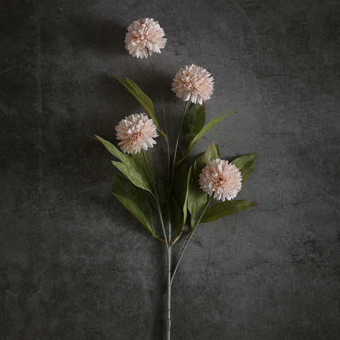Close-up of beige pompon mum petals for elegant decor.