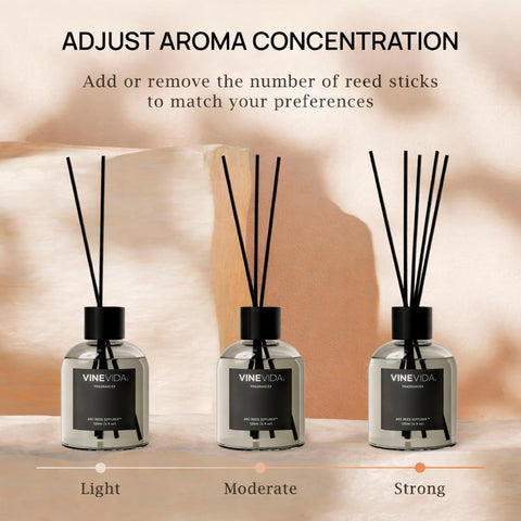 VINEVIDA Volcano reeds and bottle combo provides effortless fragrance diffusion