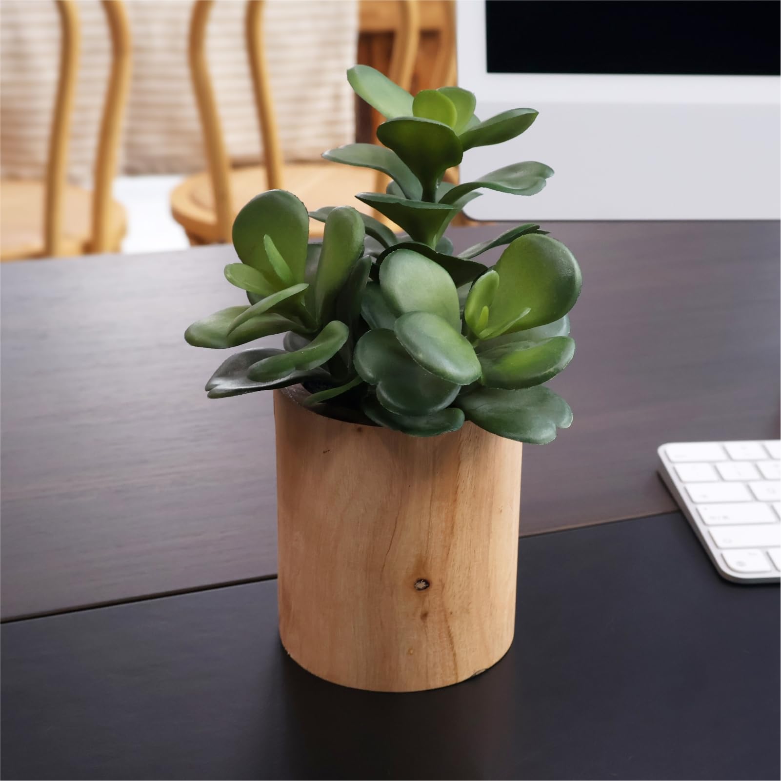 VINSUNI desk display brings calm greenery to workspaces.