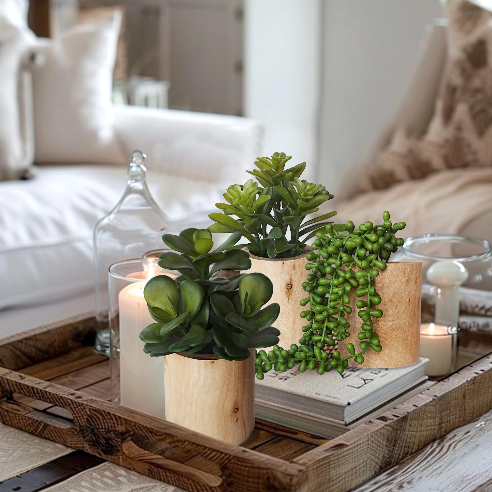VINSUNI tranquil room ambience with three compact faux succulents.