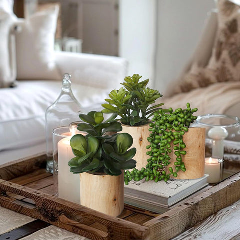 VINSUNI tranquil room ambience with three compact faux succulents.