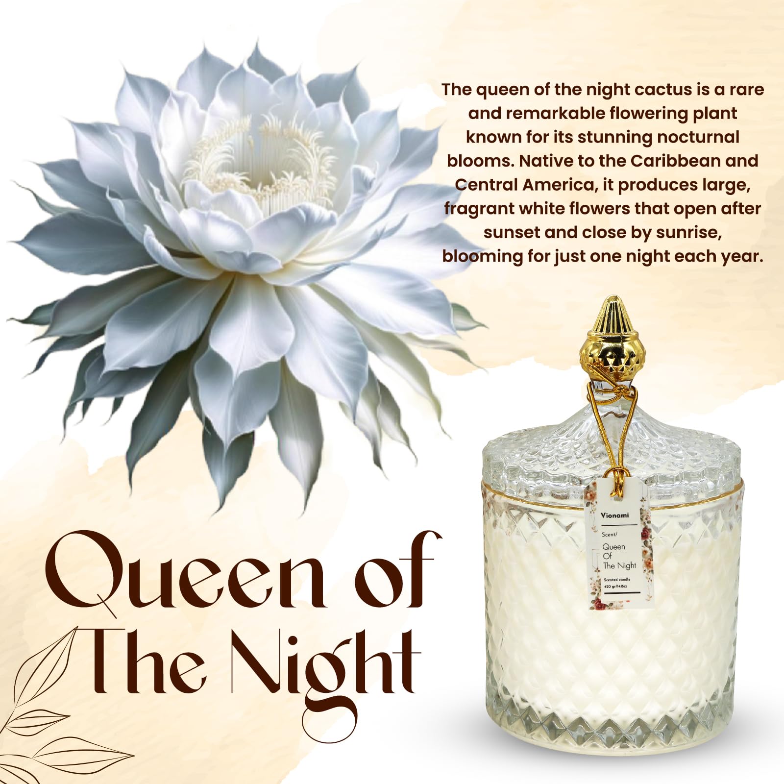 VIONAMI rare flower fragrance notes for immersive evenings.