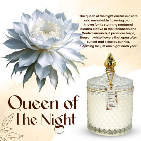 VIONAMI rare flower fragrance notes for immersive evenings.