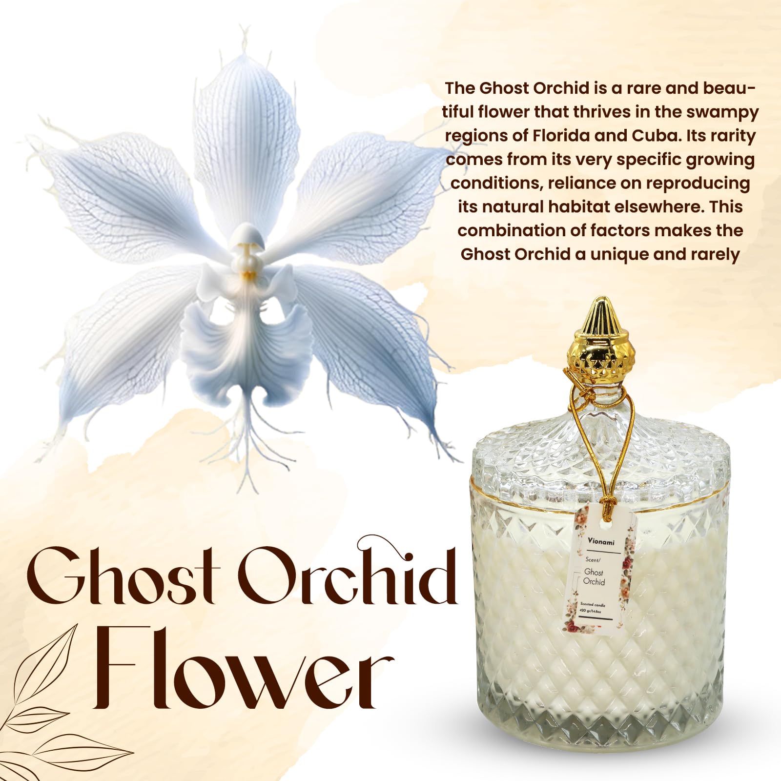 VIONAMI rare flower fragrance evokes queen of the night, cozy ambiance.