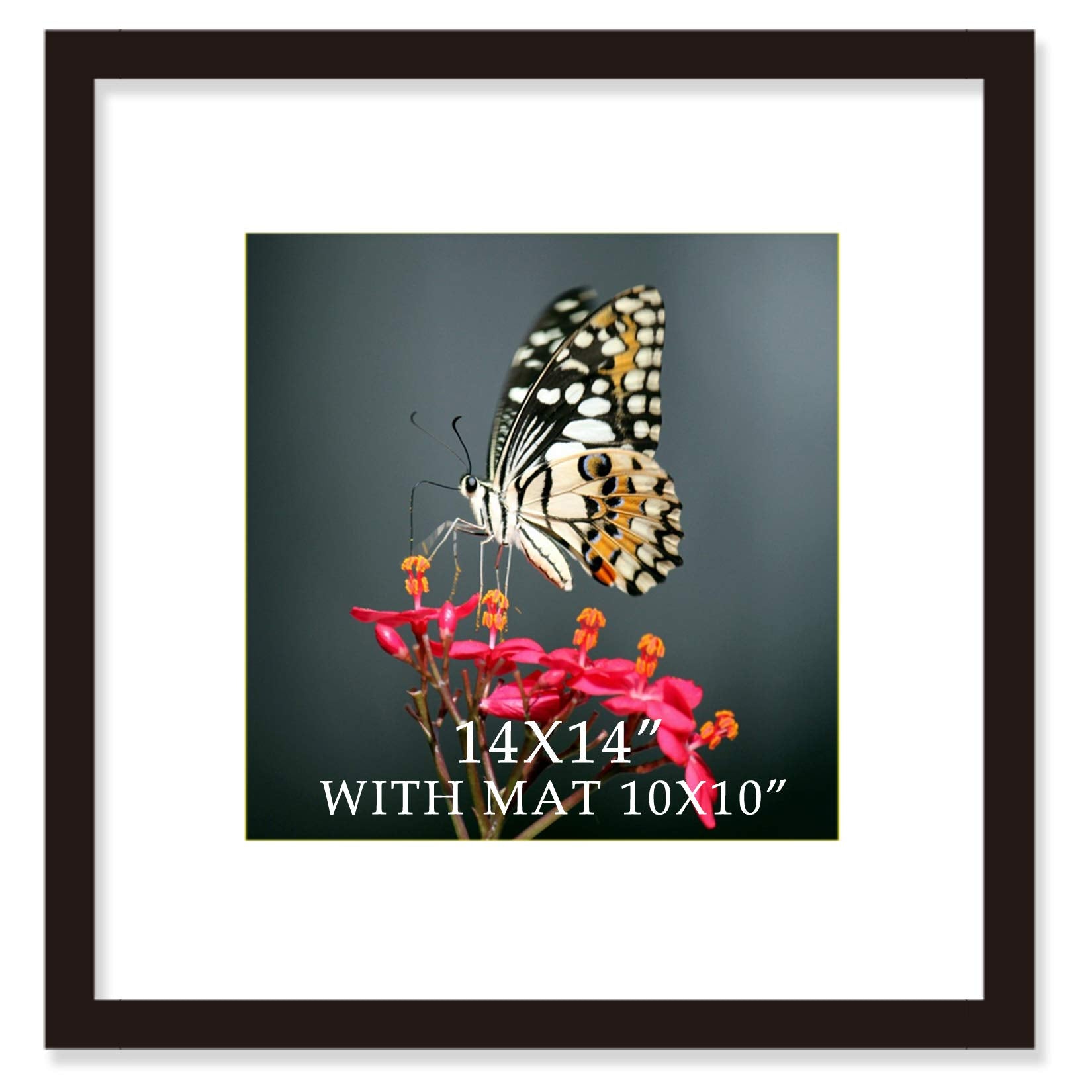 VITOIVE 14x14 frame black with mat front view for crisp photo display