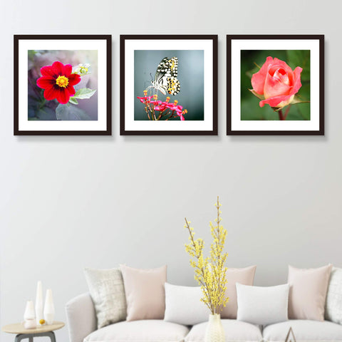 VITOIVE 20x20 frame supports 20x20 or 16x16 with mat option.