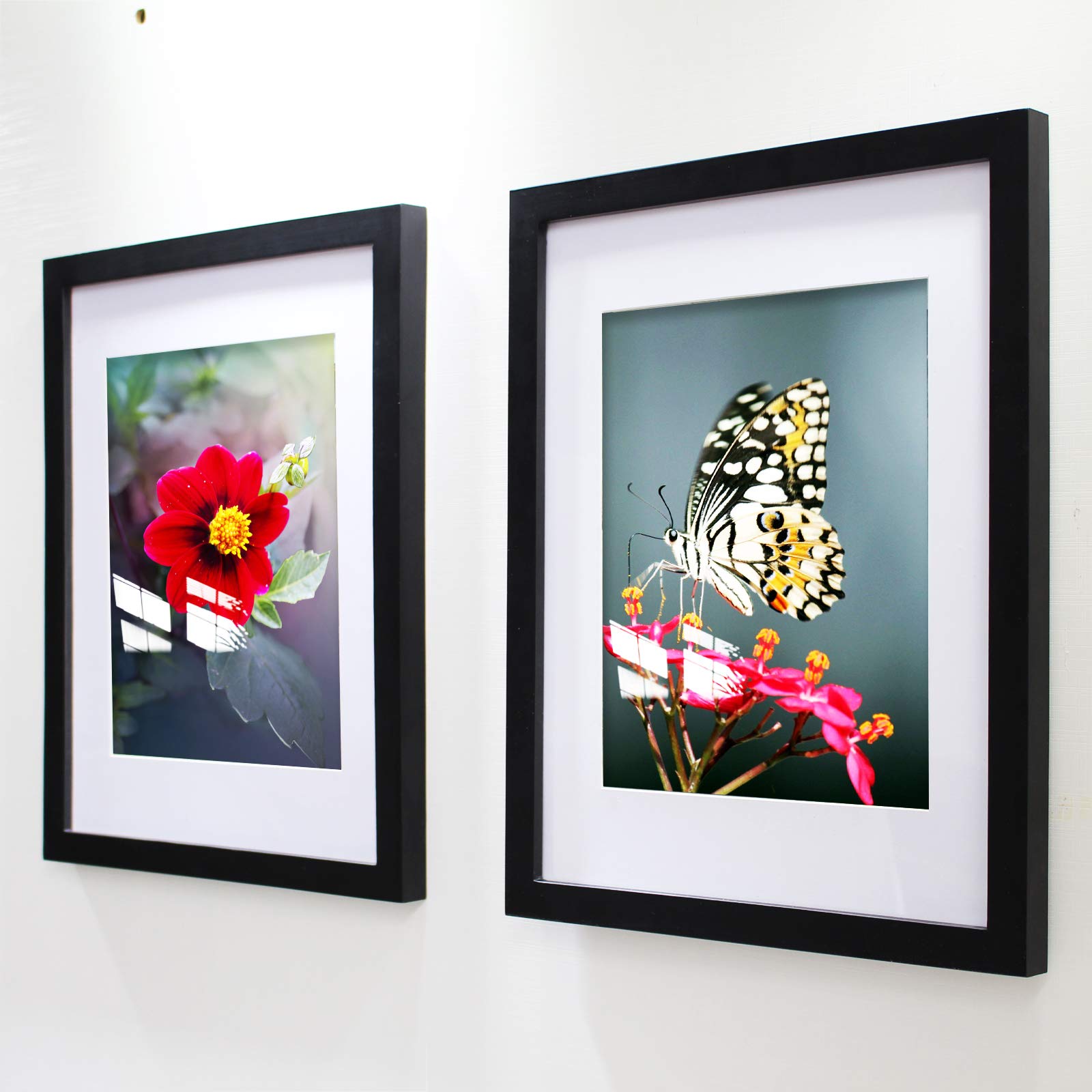 VITOIVE Plexiglas cover providing high-definition clarity close-up.