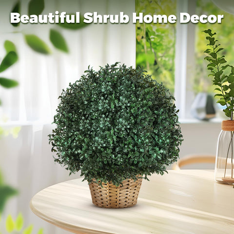 VivaPeak UV-resistant topiary maintains vibrant color through seasons.