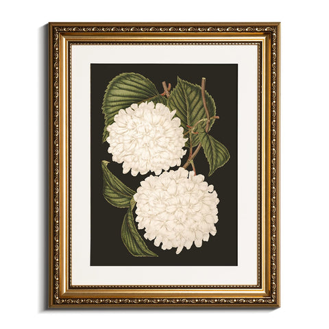 VIYYIEA gold framed wall art featuring white hydrangea blooms for elegant bedroom decor.