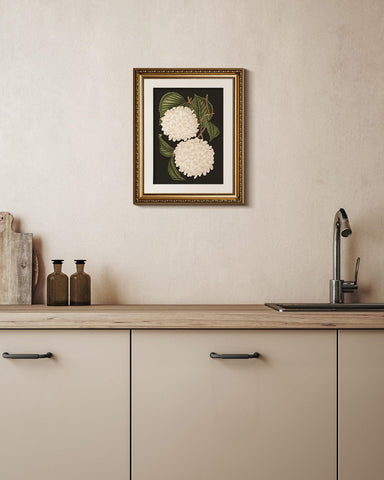 White hydrangea canvas print framed in gold adds timeless charm to any room.