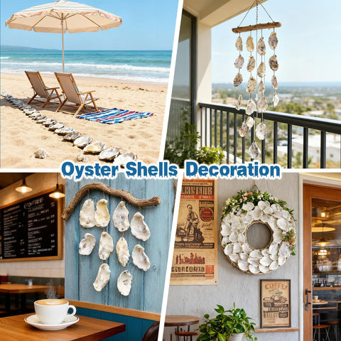 VMEECARL oyster shells packaging quality ensures safe bulk delivery