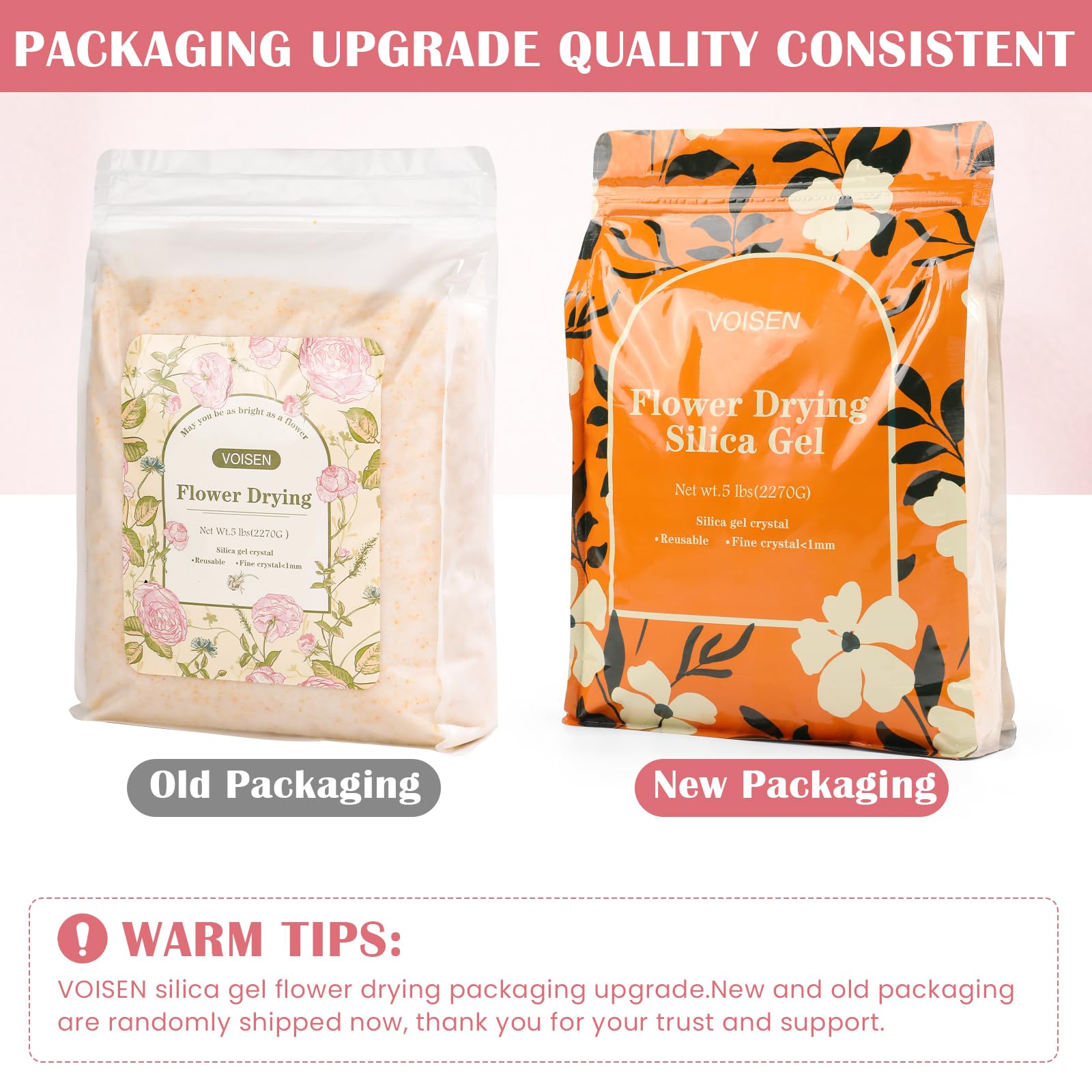 VOISEN sealed plastic box protects dried flowers during storage