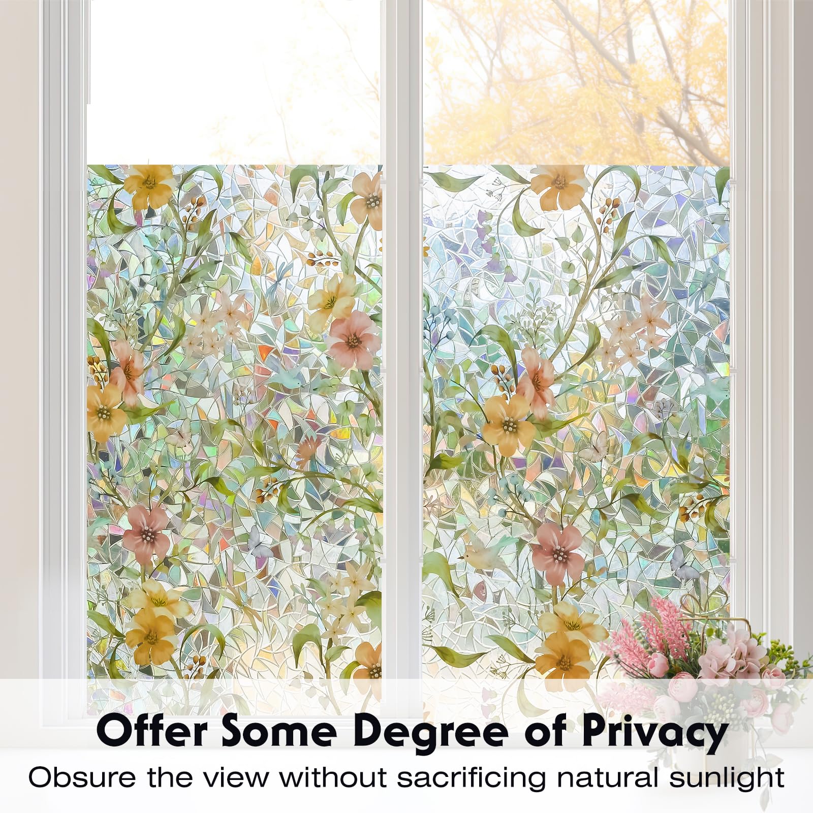 Volcanics privacy semi-private film lets light in while limiting outside visibility.