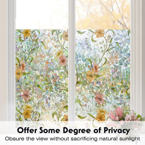 Volcanics privacy semi-private film lets light in while limiting outside visibility.